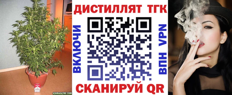Купить где  Десногорск  ТГК концентрат 